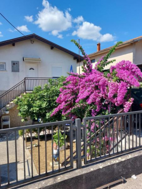 Apartment Borik